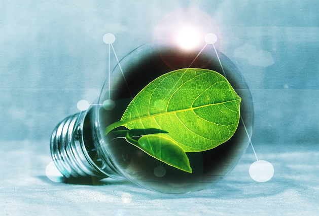 植物の浄化エネルギー 植物を育てるスピリチュアルな効果について Globo