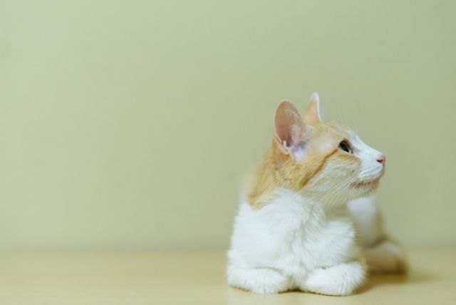 運気を上げる方法 私が１カ月でどん底から抜け出した 即効性のある方法教えます Utena 佐藤想一郎公式ブログ
